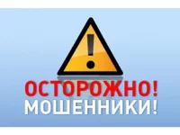 13303447060.webp
