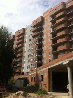 IMG_1335.jpg