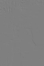 .webp