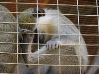 IMG_9918.JPG