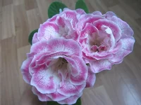 _букет.webp