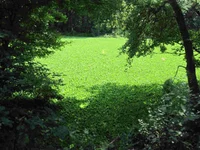  003.webp