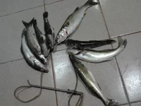2013-07-06 00.15.20.webp