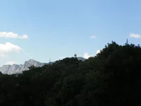 101_4486.jpg