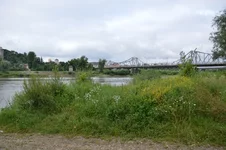 004.webp
