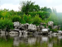 011.webp