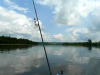 012.webp