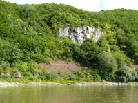 035.webp
