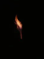 052.webp