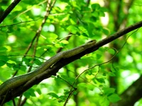 053.webp
