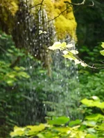 056.webp