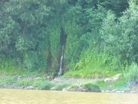 P1120315.webp