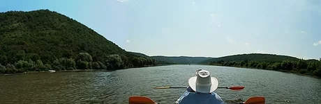  3_1hf.webp
