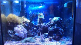 IMAG0997.webp