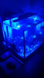 IMAG1008.webp