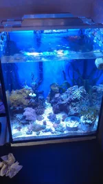IMAG1009.webp