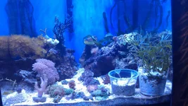 IMAG1011.webp