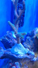 IMAG1012.webp