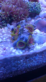 IMAG1014.webp