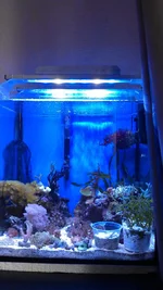 IMAG1020.webp