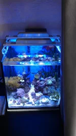 IMAG1021.webp