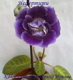 170720132999.webp