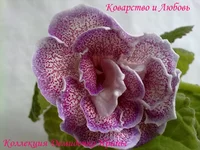 170720133006.webp