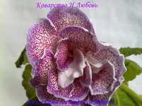 170720133009.webp