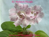 170720133024.webp