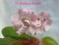 170720133025.webp