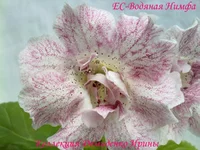 170720133026.webp