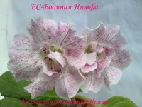 170720133027.webp