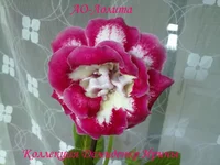 170720133040.webp
