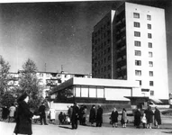 Каштан ул. Строительная.jpg