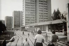 Янтарный.jpg