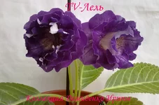 170720133046.webp
