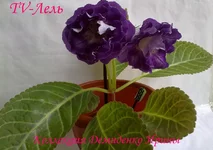 170720133049.webp
