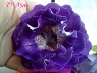 170720133050.webp