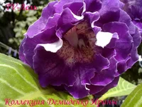 170720133056.webp