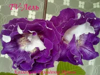 170720133065.webp