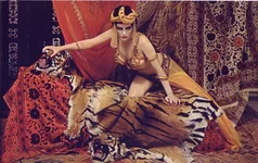 70453000_avedon000.webp