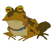 жаба.gif