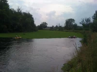 IMG_0594[1].webp