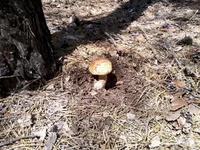 -0051.webp