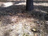 -0053.webp