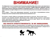 hltFTLgcGhM.webp