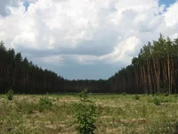IMG_2477_1.webp