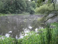 IMG_2506_1.webp