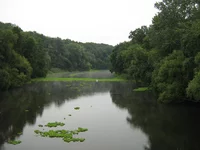 IMG_2514_1.webp