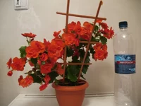 IMG_4888.webp